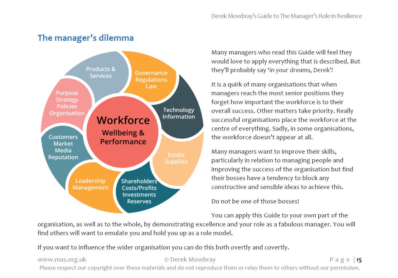 text and graphic showing elements of workforce, wellbeing and performance